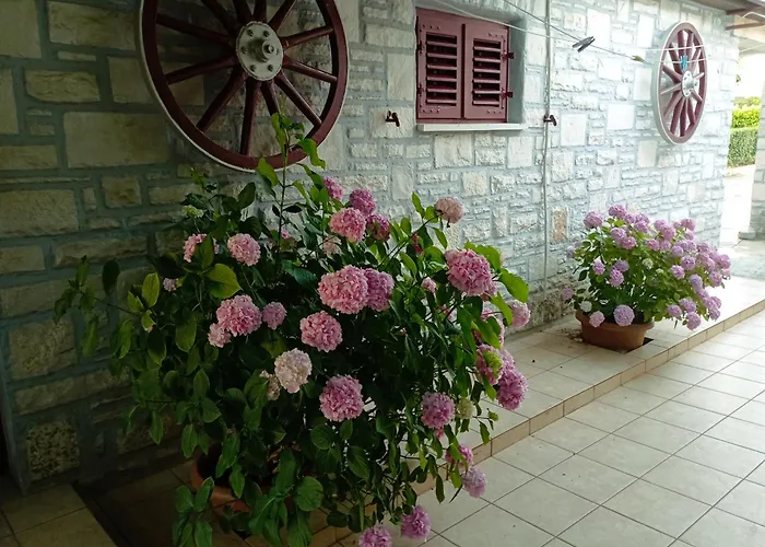 Kiwi Apartamento Umag