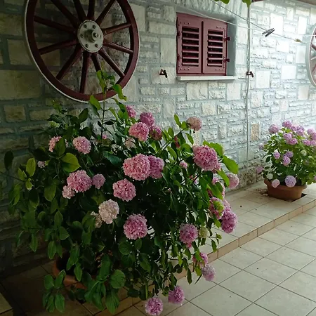 Kiwi Appartement Umag